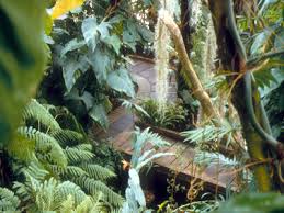 Précieuse oasis au cœur de la ville, le jardin botanique de montréal est reconnu comme un des plus importants et des plus beaux jardins du monde. Jardin Botanique Jean Marie Pelt Comite Des Parcs Et Jardins De France