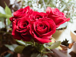 Maybe you would like to learn more about one of these? 15 Best Florists For Roses In Los Angeles Petal Republic
