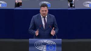 MCNAMARA, Michael (Renew, IE)