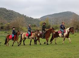 We did not find results for: Randonnee Equestre Dans Le Massif Des Maures A Grimaud Dans Le Var Ranch La Mene