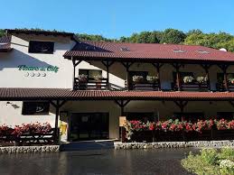 With a stay at pensiunea floare de colt in dragoslavele, you'll be in a national park, and 25 mi (40.2 km) from bran castle and 3.4 mi (5.5 km) from piatra craiului national park. Pensiunea Floare De Colt Prices Lodge Reviews Poiana Galdei Romania Tripadvisor