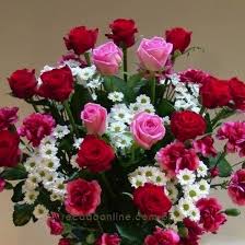Lindos Cartoes Com Recados Para Todas As Ocasioes Continuar A Ler Bom Dia Com Jesus Flores Bonitas Rosas Lindas
