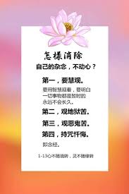 pin by 张小瑞on 白话佛法 good morning picture buddha quotes morning pictures