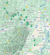 Image result for Pollichia