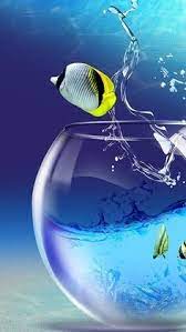 Imagenes Con Movimiento Para Whatsapp Para Bajar A Facebook Descargar Imagenes 2020 Samsung Galaxy Wallpaper Galaxy S3 Wallpaper Aquarium Live Wallpaper