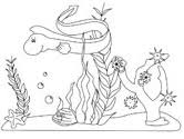 You might also be interested in coloring pages from mermaid category. Ocean Animals Coloring Pages