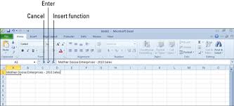 Figuring Out The Excel 2010 Formula Bar Dummies