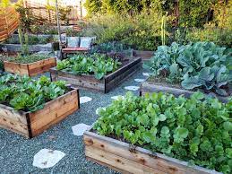 Wood is one of the most common material for use in raised beds. Raised Garden Beds Vs In Ground Beds Pros Cons Homestead And Chill