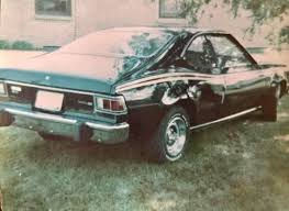 Image result for Alpine White 1975 AMC