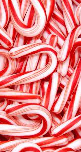 The name candy cane coral comes from the stripes of the coral's polyps. Peppermint Candy Cane Brownies Recipe Christmas Candy Cane Candy Wallpapers Christmas Wallpaper