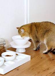 Cat Food Tray If Youare Tired Of Constantly Sweeping Up Cat Food Messes Diy Cat Food Dog Food Station Cat Food Station