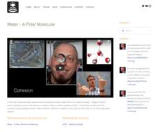 Intermolecular forces are one of the main reason that matter exists in different states (solids, liquids and gases). Polar Molecule Lesson Plans Worksheets Lesson Planet