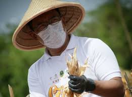 Scopri ricette, idee per la casa, consigli di stile e altre idee da provare. Kabar Gembira Ridwan Kamil Buka Lowongan Kerja Petani Untuk 5 000 Anak Milenial Pendaftaran Dibuka Februari Pikiran Rakyat Cirebon