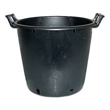 Large Plant Tree Shrub Pots With Handles 30 50 60 70 80 95 110 130 Lt Litre 1 70 Litre Large Plants Large Plant Pots Shrubs