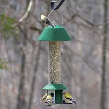 Squirrel Defeater Bird Feeder Best Price Squirrel Resistant Bird Feeders Bird Feeders Squirrel Proof Bird Feeders
