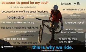 Biking Inspirational Quotes Mountain Biking Quotes Cycling Quotes Bike Quotes