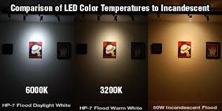 led bulbs color temperature google search color