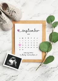 Pin On Pregnancy Announcement Ideas