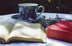 Adirondack Family Book Festival