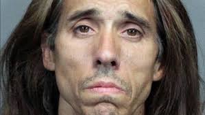 Police identify driver who allegedly fled and crashed