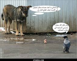 , كلام مضحك وتريقة جامدة اوى على البنات , صور مكتوب عليها افيهات , افهات الش كلام , صور ترياه جمدا اوي , حكم مضحكة , صور السياسة تريقة , صور مكتوب عليها عن الاخوه أحدث الصور من الفيس بوك وفيها عبارات الصور , صور عليها افيهات , كلام جامد وصور مهمه جدا. ØµÙˆØ± Ù…Ø¶Ø­ÙƒÙ‡ Ø¬Ø¯Ø§ Ø¬Ø¯Ø§ Ø¬Ø¯Ø§ 2016 ØµÙˆØ±Ø© Ù…Ø¶Ø­Ùƒ Ø¬Ø¯Ø§