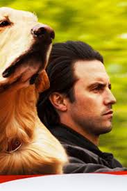 Review: 'The Art of Racing in the Rain' is a tender, tail-wagging film