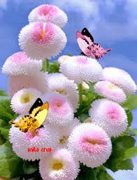 Https Encrypted Tbn0 Gstatic Com Images Q Tbn And9gcqcfn0o7bb Lbhssmxwz3aanlmilmpg J65mq Usqp Cau