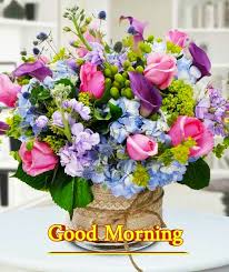 Good morning images with flowers hd : Good Morning Images For Whatsapp Free Download Hd Wallpaper Pictures Photos Of Good Morning Mixing Images