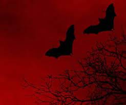 199 Halloween Aesthetic Images Pictures 2021 Red Aesthetic Grunge Red Aesthetic Dark Red Wallpaper