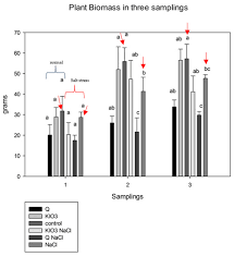 Agronomy Free Full Text Enhancement To Salt Stress Tolerance In Strawberry Plants By Iodine Products Application Html