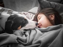 This mornings wake up call brought to you by Nipsey and hims wrinkles 🥰❤️