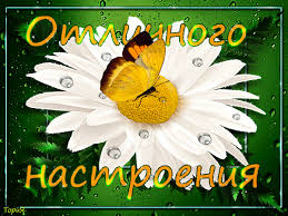 Пожелания настроение в картинках. Лучшие анимационные картинки