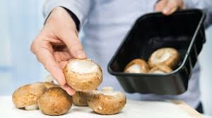 With over 140 champs to discover, there are always news things to master. Tutorial So Putzt Man Champignons Gesundheit