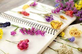 Harvest herbs grown for seeds as the seed pods. How To Dry Flowers We Tested 5 Different Methods To Find The Best