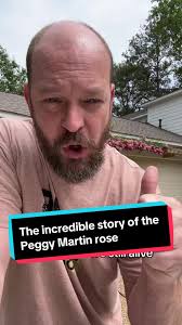 I don’t normally talk about plants but this gulf coast beauty has too good  of a story to ignore 🥀🌹#roses #garden #flowers #mississippi  #hurricanekatrina #louisiana #botany