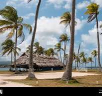 beach house , bungalow with thatch roof on palm tree island ...