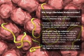 Viele menschen glauben, es handele sich um schwarze würmer, wenn sie schwarze fäden im stuhl von kindern und babys bemerken. Madenwurmer Ursache Symptome Massnahmen