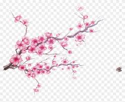 Fiori fiore estetico con petali bianchi png klipartz from c3.klipartz.com fiori png cliparts for free download, you can download all of these fiori transparent png clip art images for free. Cherry Blossom Ink L Arcobaleno Dei Fiori Free Transparent Png Clipart Images Download