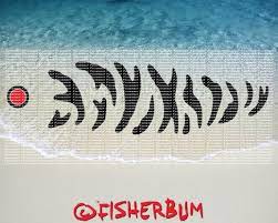 Download Pin On Pesca
