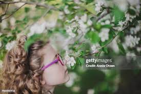 377 Annie Apple Stock Photos, High-Res Pictures, and Images