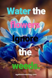 We did not find results for: 90 Flower Quotes To Help You See Love And Beauty In Life Ageless Investing