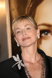 Sharon sten — Stock redaktionelt foto © s_bukley #16382595