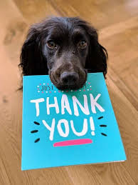 Check spelling or type a new query. 12 Expressions To Say Thank You In Spanish Tell Me In Spanish