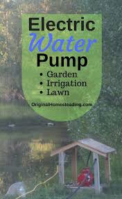 Should you want to create a more complex system, a good read is cottage water systems by max burns. Electric Water Pump Irrigating Garden Or Lawn