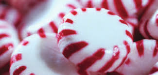 International Update