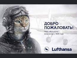 Aeroflot S Infamous Fat Feline Crackdown Prompts Outpurring Of Aviation Cat Memes Rt World News