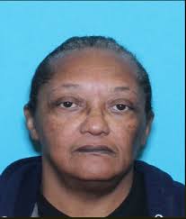 Critical Missing-Charlene Stone