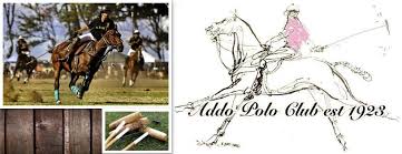 Profile for Addo Polo Club
