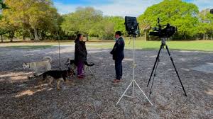 Witness who received threat video in dog park fatal shooting initially  missed it