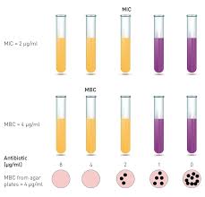 Image result for Antimicrobial Agent